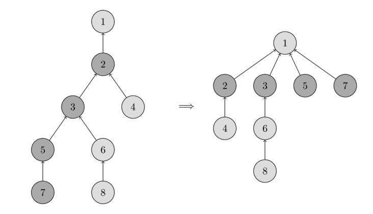 find_set(7) дуудалтын замын шахалт